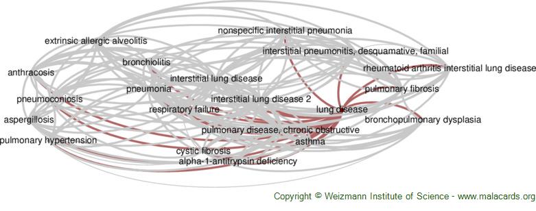 Diseases related to Lung Disease