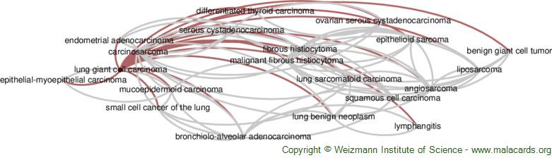 Diseases related to Lung Giant Cell Carcinoma