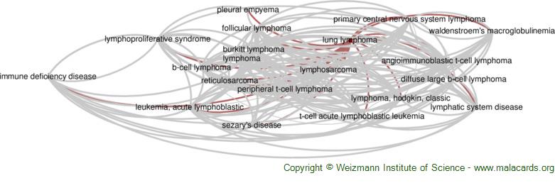 Diseases related to Lung Lymphoma