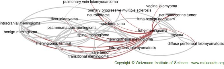 Diseases related to Lung Meningioma