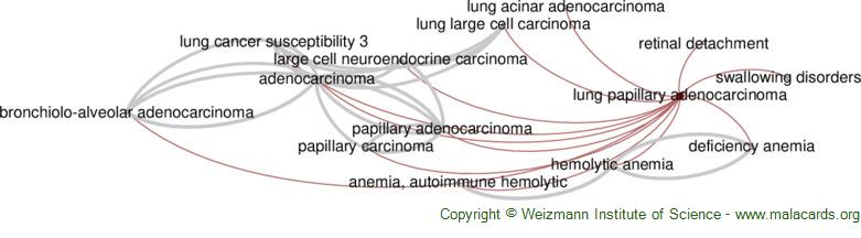 Diseases related to Lung Papillary Adenocarcinoma