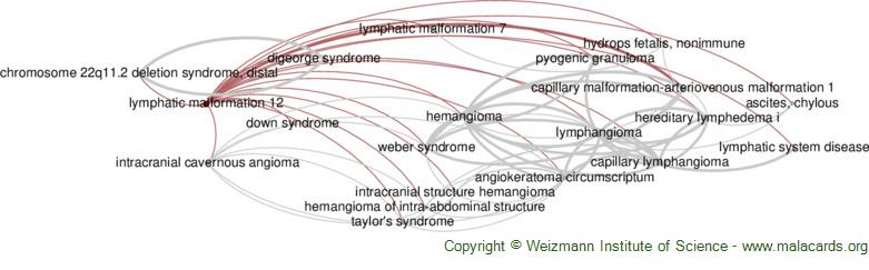 Diseases related to Lymphatic Malformation 12