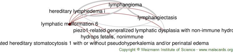 Diseases related to Lymphatic Malformation 6