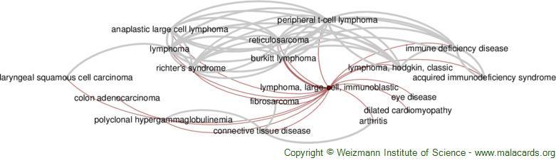 Diseases related to Lymphoma, Large-Cell, Immunoblastic