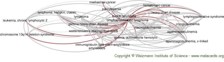 Diseases related to Lymphoplasmacytic Lymphoma