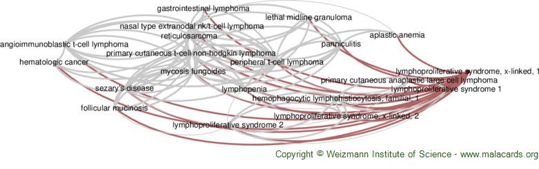 Diseases related to Lymphoproliferative Syndrome, X-Linked, 1