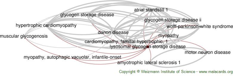 Diseases related to Lysosomal Glycogen Storage Disease