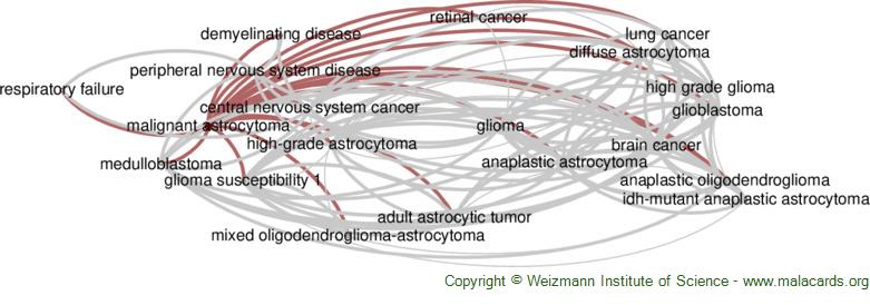 Diseases related to Malignant Astrocytoma