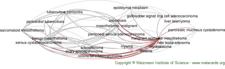 Diseases related to Malignant Epithelial Mesothelioma