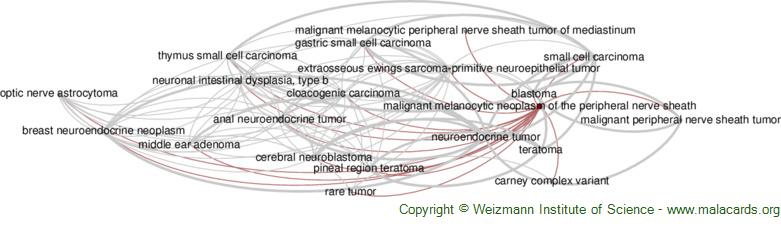 Diseases related to Malignant Melanocytic Neoplasm of the Peripheral Nerve Sheath