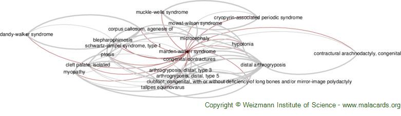 Diseases related to Marden-Walker Syndrome
