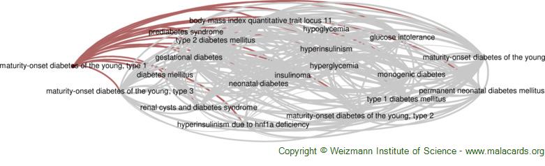 Diseases related to Maturity-Onset Diabetes of the Young, Type 1