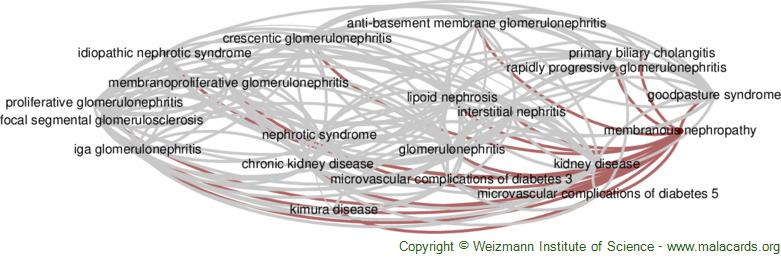 Diseases related to Membranous Nephropathy