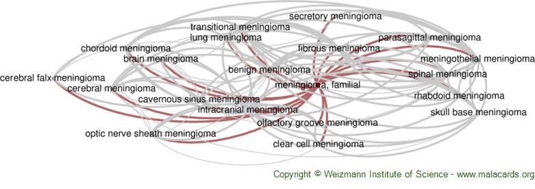 Diseases related to Meningioma, Familial