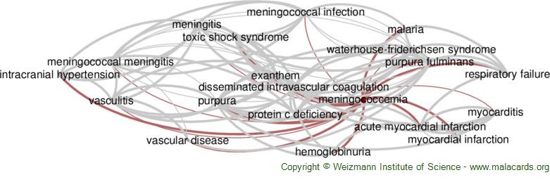 Diseases related to Meningococcemia