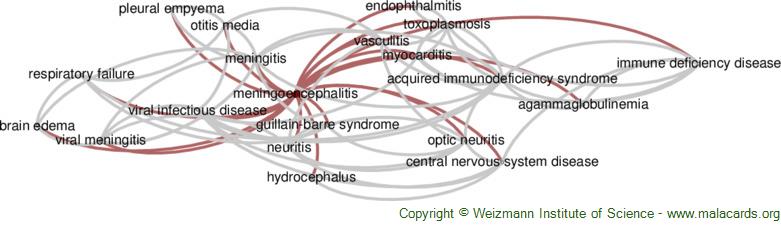 Diseases related to Meningoencephalitis