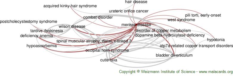 Diseases related to Menkes Disease