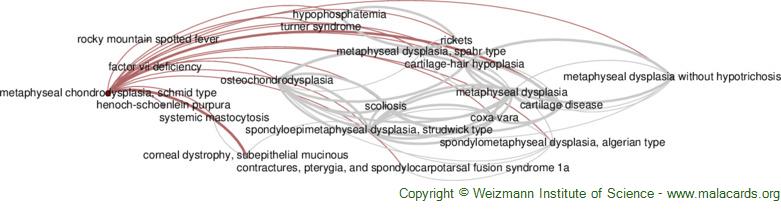 Diseases related to Metaphyseal Chondrodysplasia, Schmid Type