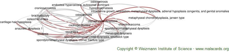 Diseases related to Metaphyseal Dysplasia