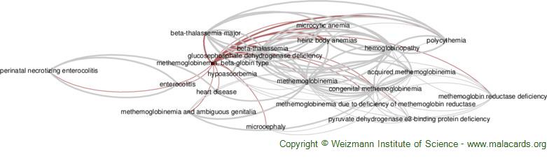 Diseases related to Methemoglobinemia, Beta-Globin Type