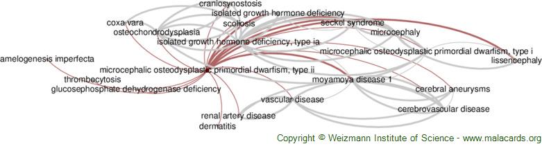 Diseases related to Microcephalic Osteodysplastic Primordial Dwarfism, Type Ii