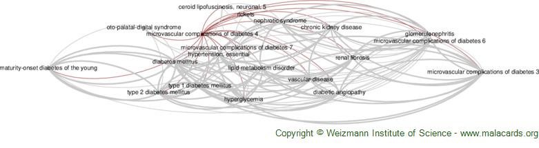 Diseases related to Microvascular Complications of Diabetes 4