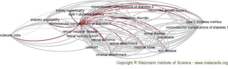 Diseases related to Microvascular Complications of Diabetes 5