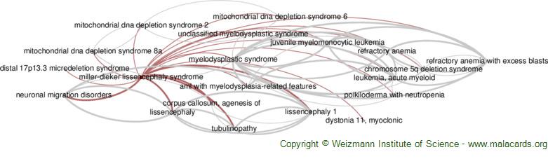 Diseases related to Miller-Dieker Lissencephaly Syndrome