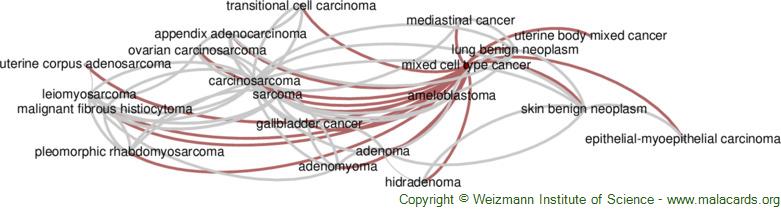 Diseases related to Mixed Cell Type Cancer