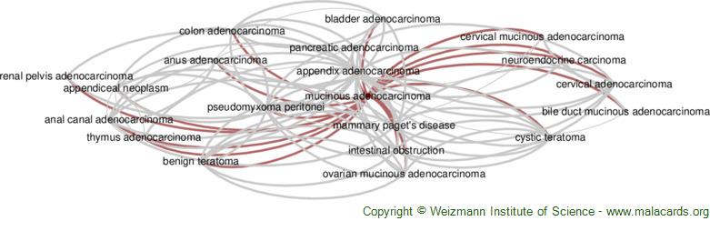 Diseases related to Mucinous Adenocarcinoma