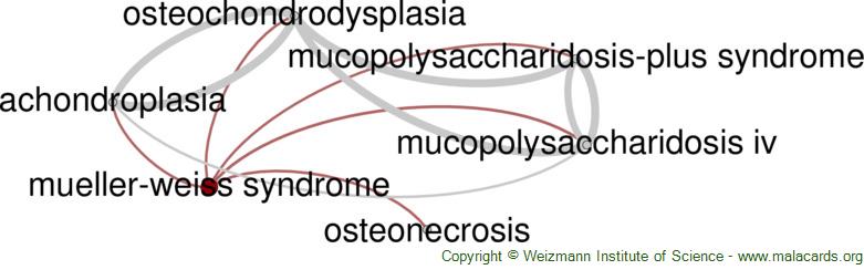 Diseases related to Mueller-Weiss Syndrome