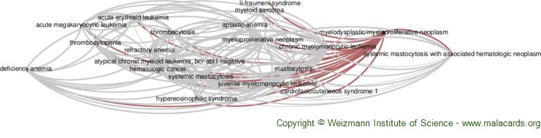 Diseases related to Myelodysplastic/myeloproliferative Neoplasm