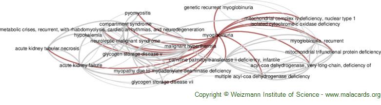 Diseases related to Myoglobinuria