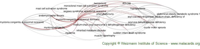 Diseases related to Myotonia Congenita, Autosomal Dominant
