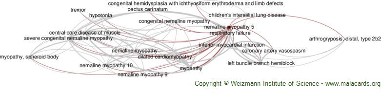 Diseases related to Nemaline Myopathy 5