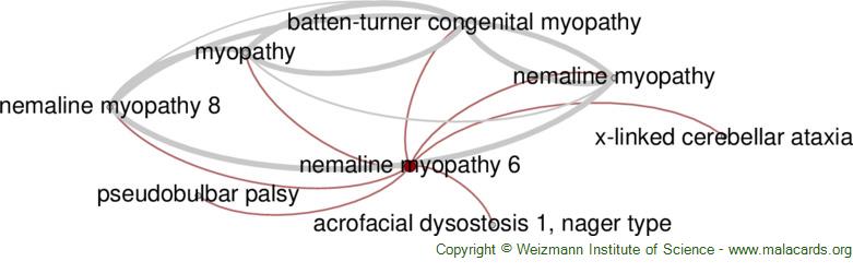 Diseases related to Nemaline Myopathy 6