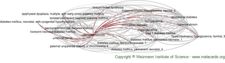 Diseases related to Neonatal Diabetes