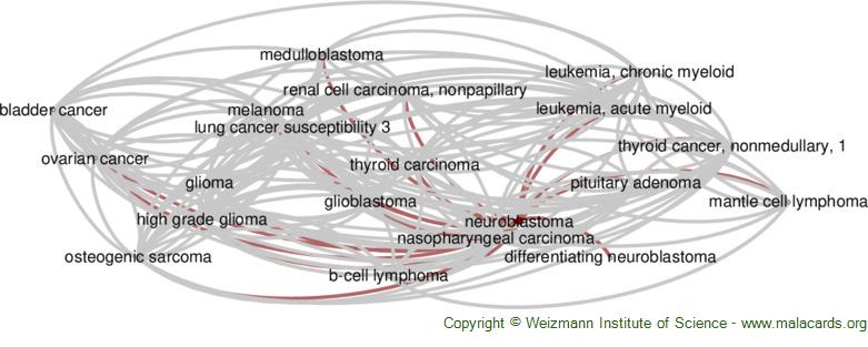 Diseases related to Neuroblastoma