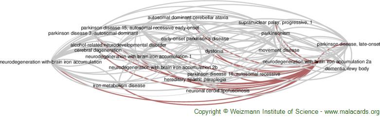 Diseases related to Neurodegeneration with Brain Iron Accumulation 2a