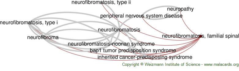 Diseases related to Neurofibromatosis, Familial Spinal