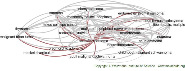 Diseases related to Neurofibrosarcoma