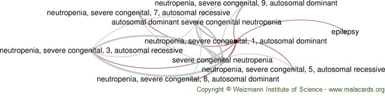 Diseases related to Neutropenia, Severe Congenital, 1, Autosomal Dominant