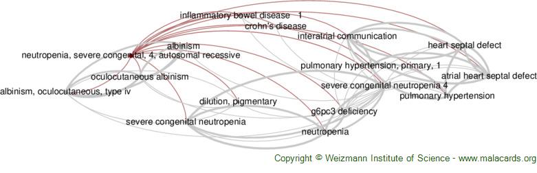 Diseases related to Neutropenia, Severe Congenital, 4, Autosomal Recessive