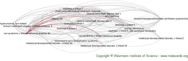 Diseases related to Non-Syndromic X-Linked Intellectual Disability 30