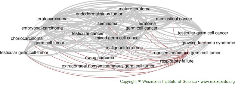 Diseases related to Nonseminomatous Germ Cell Tumor