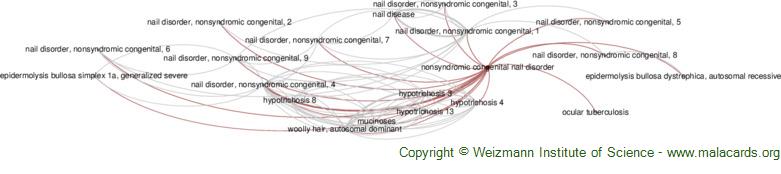 Diseases related to Nonsyndromic Congenital Nail Disorder
