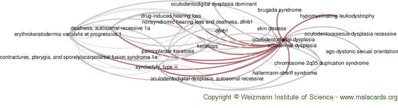 Diseases related to Oculodentodigital Dysplasia
