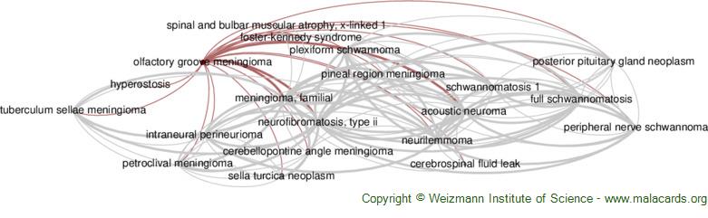 Diseases related to Olfactory Groove Meningioma