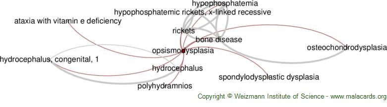 Diseases related to Opsismodysplasia
