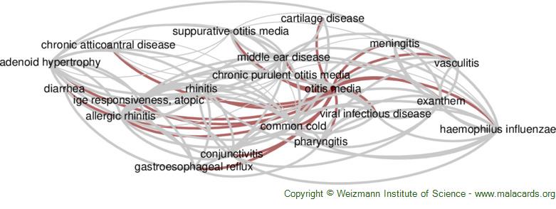 Diseases related to Otitis Media